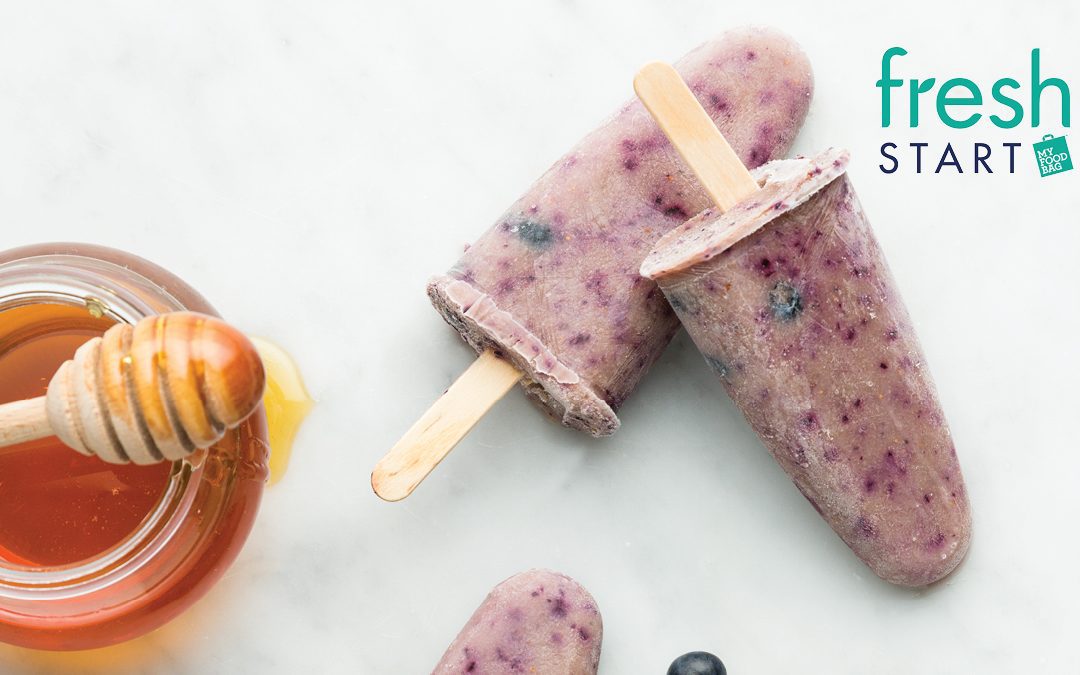 Blueberry Smoothie Ice Blocks