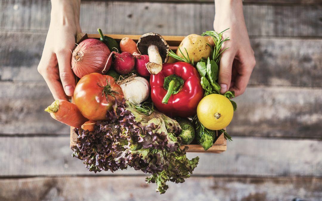 Why plants are so important in our diet