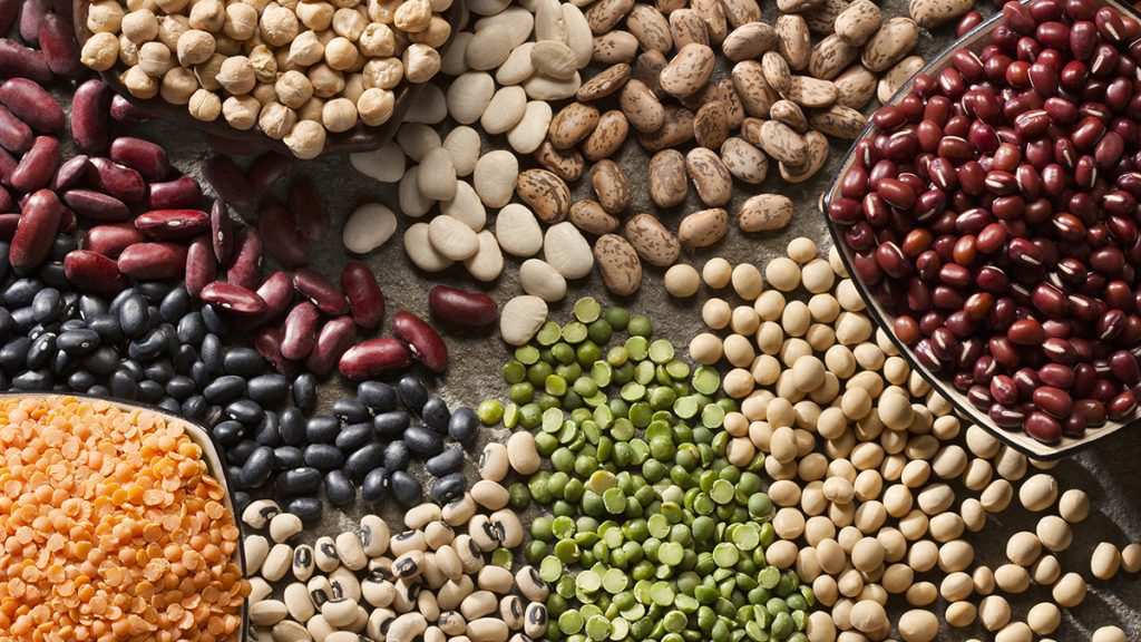 legumes cropped