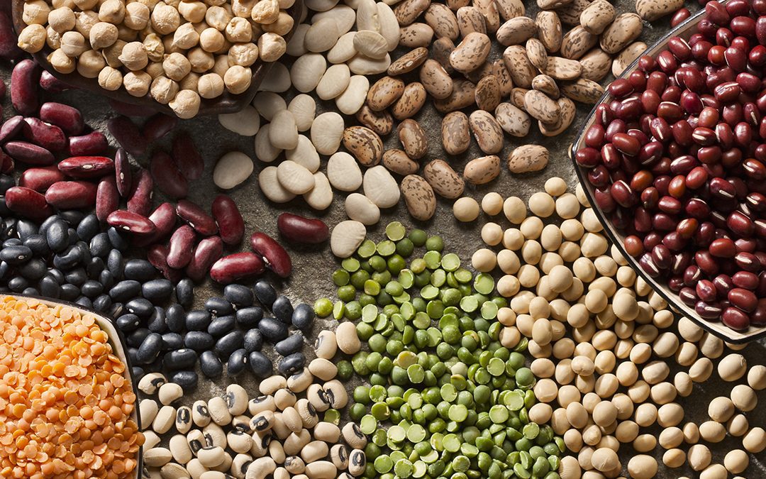 We love legumes!