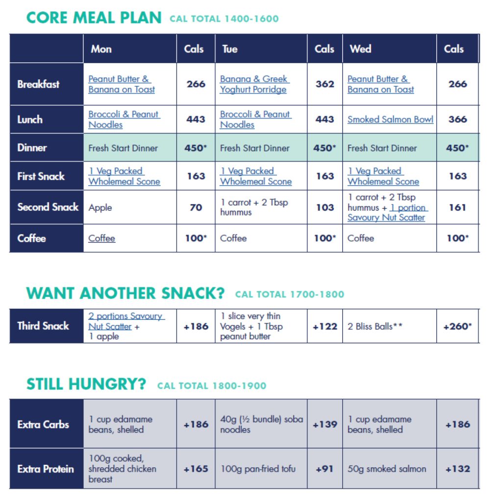 The Programme Plus Meal Plan 3 1 meal plan 3