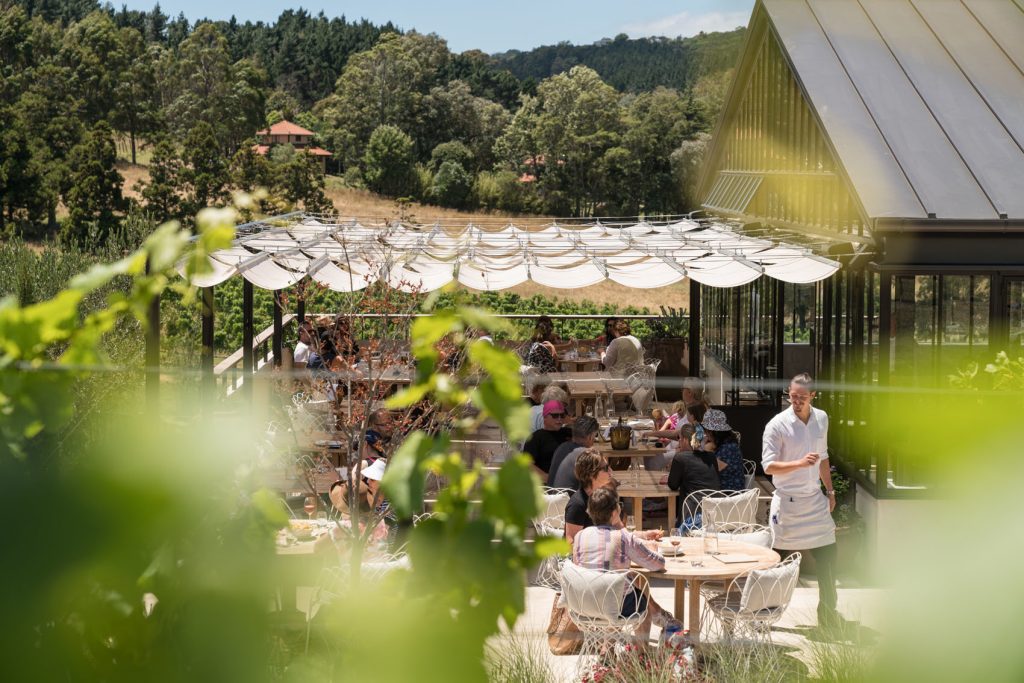A taste of Waiheke with Tantalus Estate 3 Tantalus Estate
