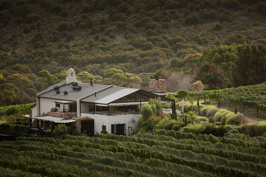 A taste of Waiheke with Tantalus Estate 1 Tantalus Estate