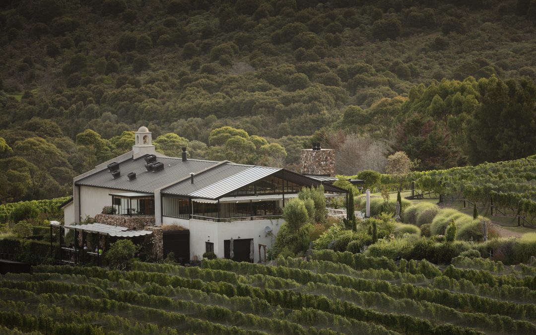 A taste of Waiheke with Tantalus Estate