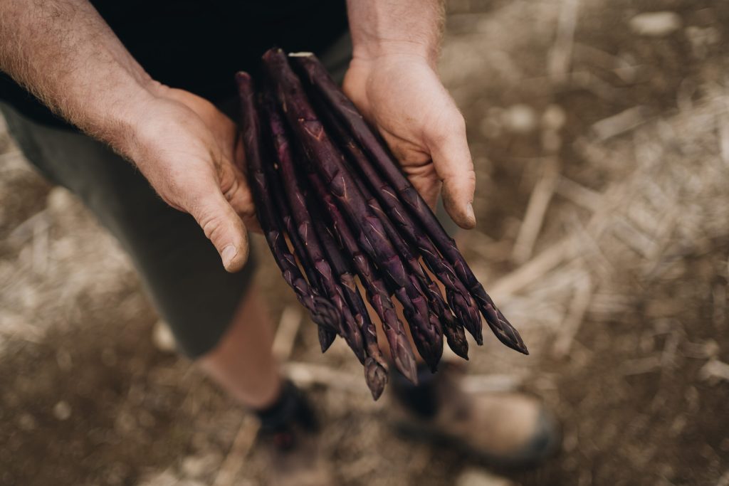 NakedHarvest0140HR scaled 1