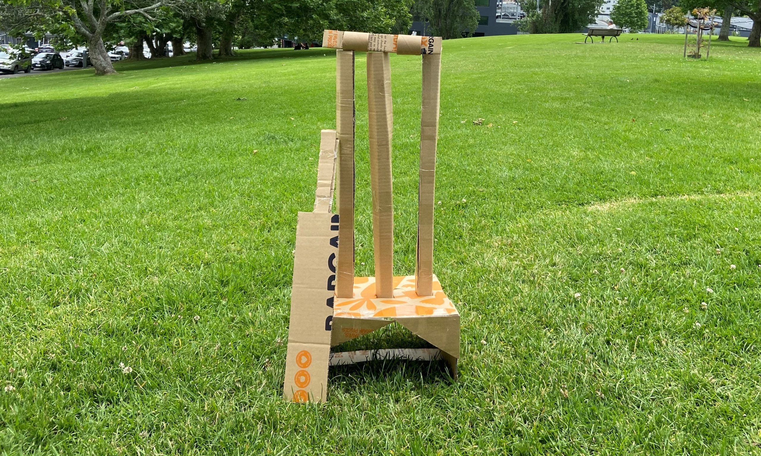 Cricket wickets made from a Bargain Box.
