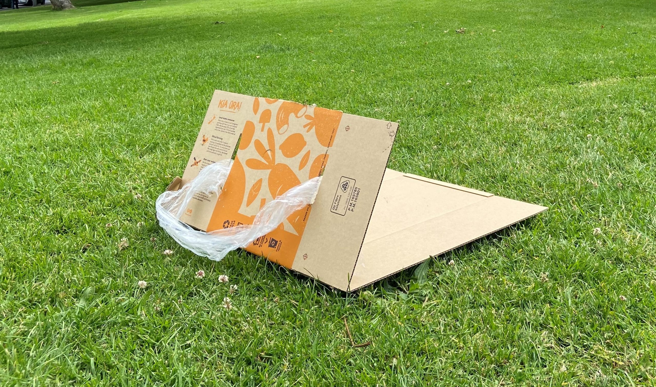5 Crafty Ways to Reuse Your Box 6 A grass sled made from a Bargain Box.