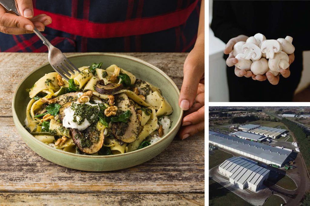 Local Supplier Stories: Meadow Mushrooms 1 Meadow Mushrooms Hero